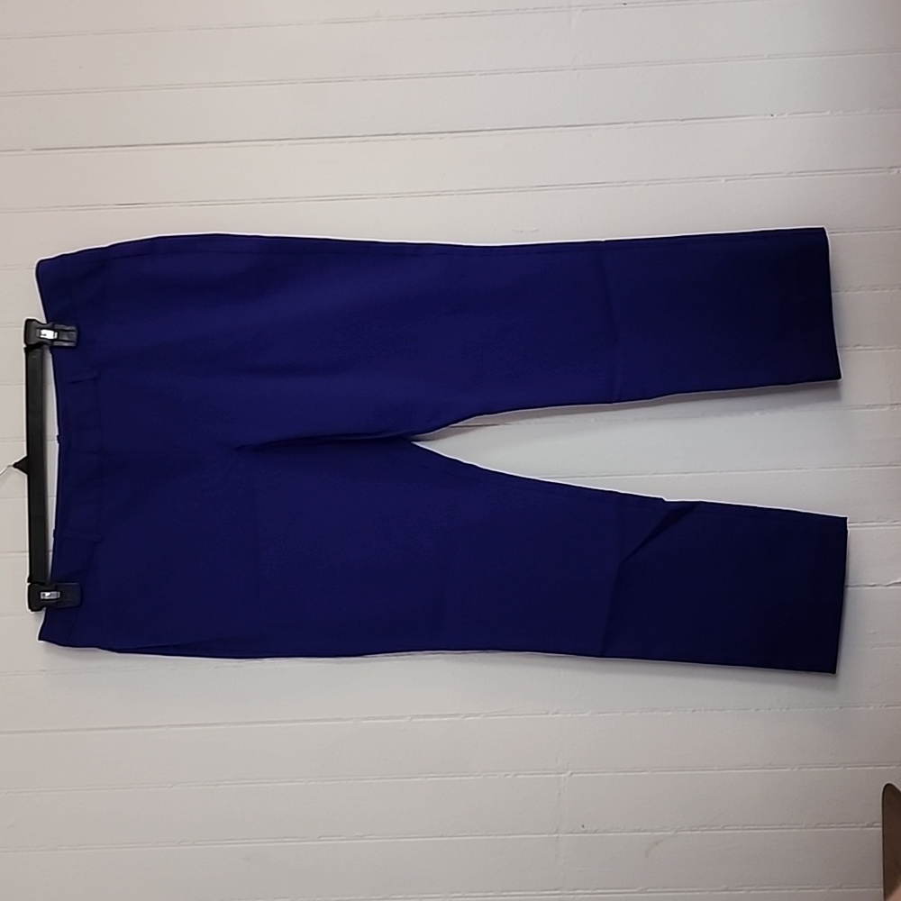 Worthington slim fit ankle, size 16. Purple/blue color- blueberry